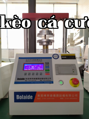 Edge pressure ring pressure strength tester