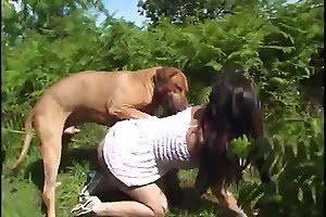 doggy porn,blowjob