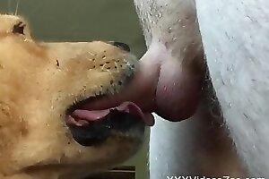 XXXVideosZoo