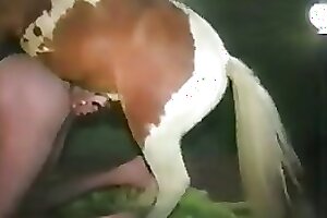 XXX Zoo Porn